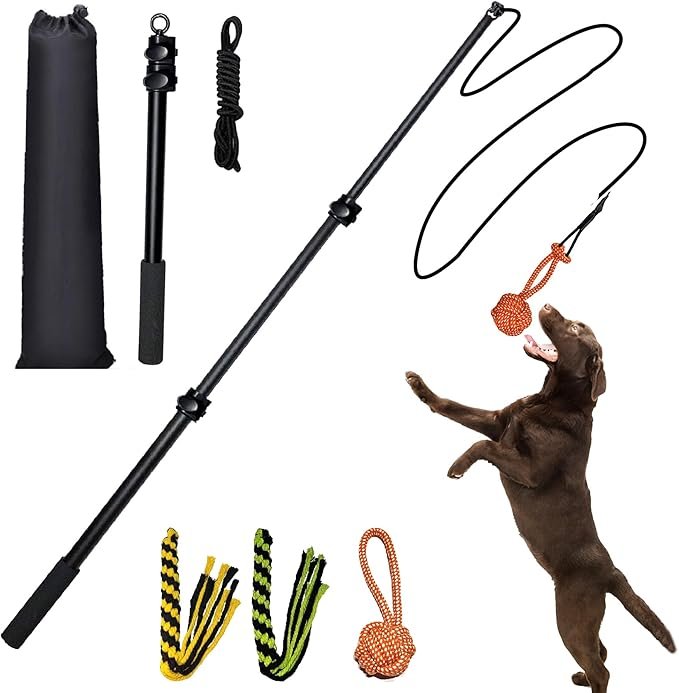 Heavy-Duty 40-Inch Extendable Flirt Pole for Dogs